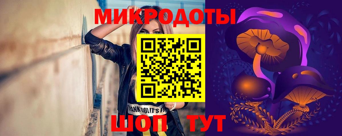 Великий Новгород  цены наркотик  Вход с VPN  Псилоцибиновые грибы GOLDEN TEACHER 